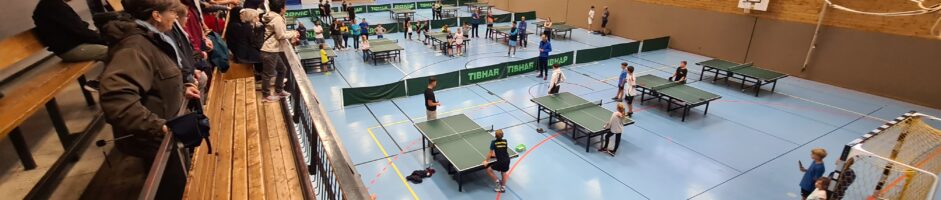 Zusammenfassung der Abteilung Tischtennis – SV Remshalden